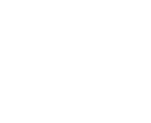 drupal-white